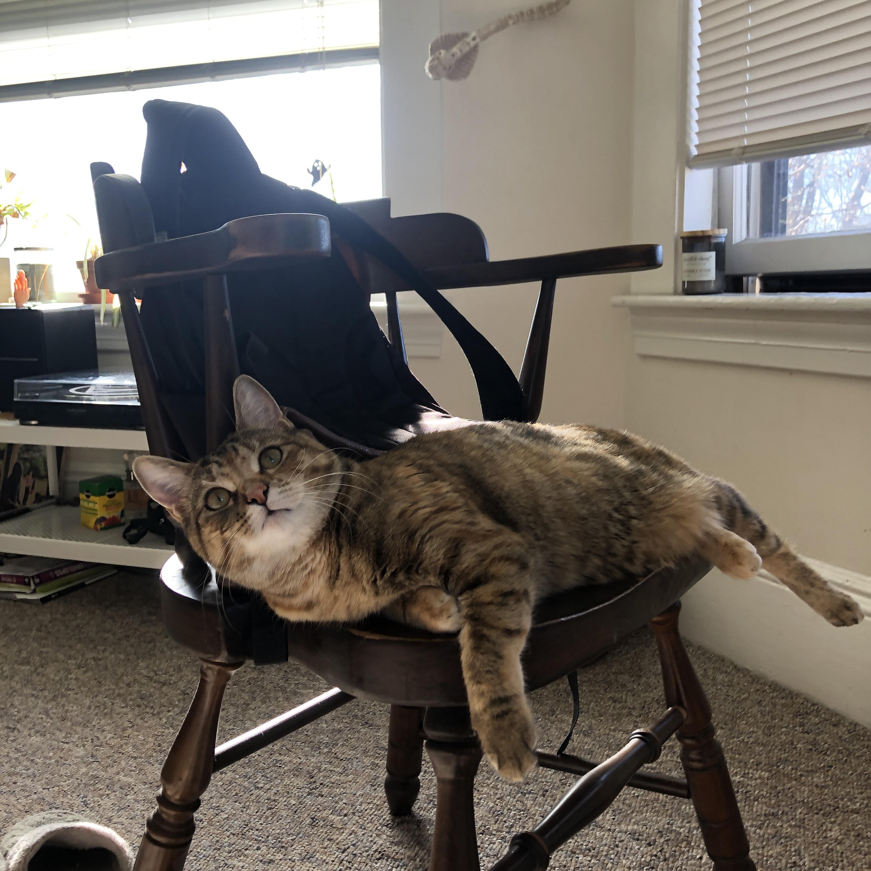 九游游戏中心-【犯规案例分析】高分罚球背后隐藏的战术意味，犯规 罚球