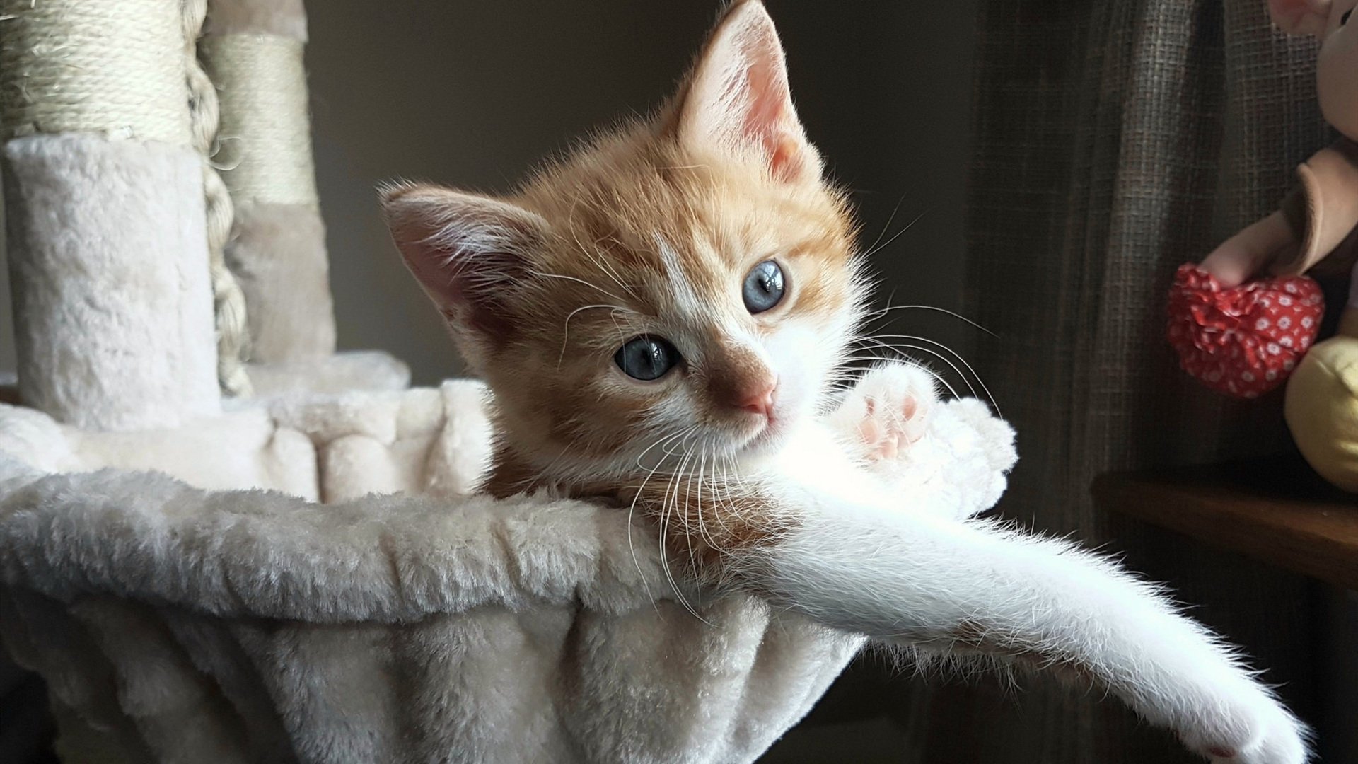 中国男足在巴黎奥运会比赛中以3-1击败巴西,北京奥运会男足中国vs巴西