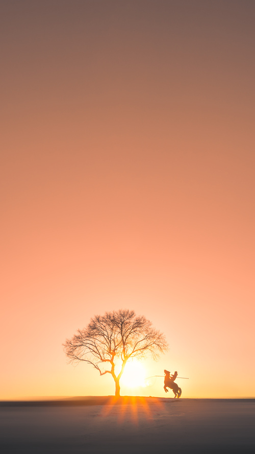 九游sports-成都马拉松赛破纪录，跑者热情高涨，成都 马拉松 2020