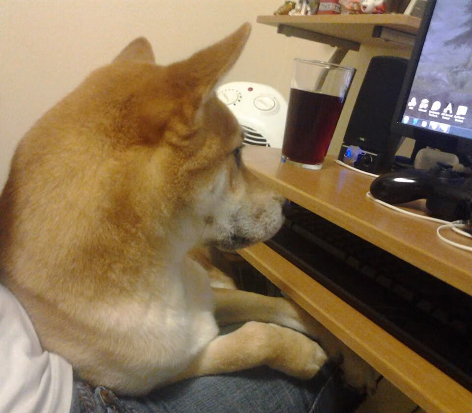 JIU YOU GAME-政府主导、多部门协同、全社会参与、全民共建共享的“大群体”格局初步形成