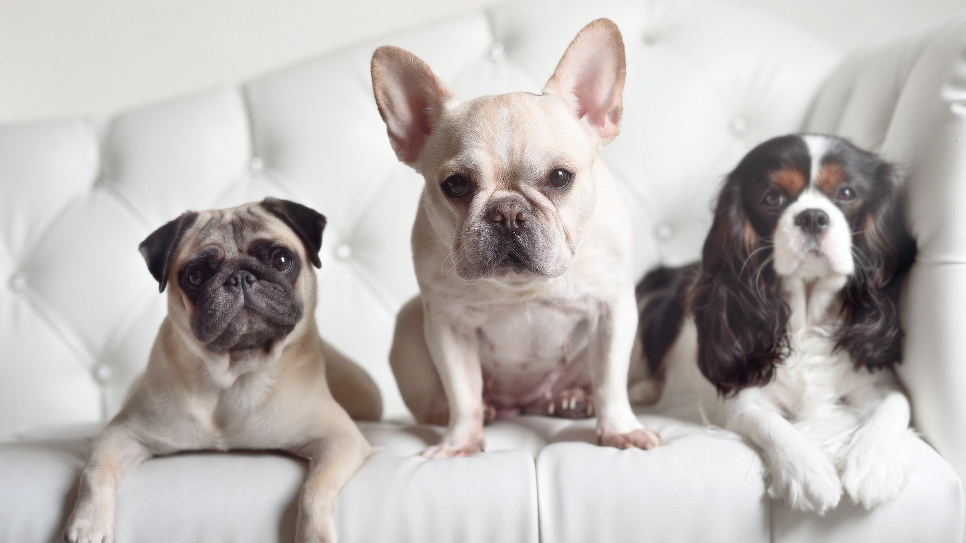 九游网页版官网入口-篮球赛事门票电子化普及推广，篮球比赛门票