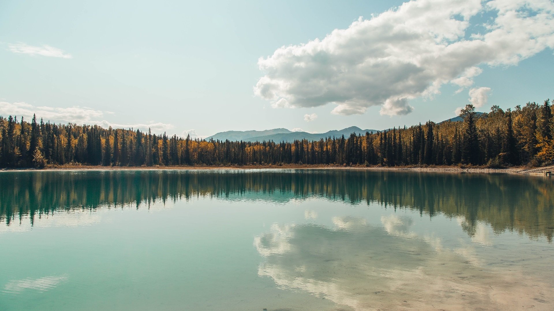 九游9游-铁人三项：挑战自我的极限运动，铁人三项介绍
