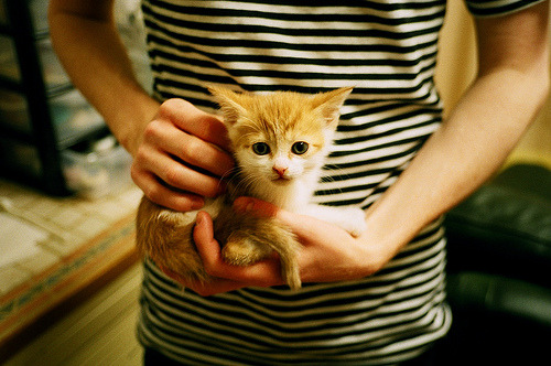 JiuyouAPP下载-佛罗伦萨信心十足，利物浦奋起争胜，佛罗伦萨足球