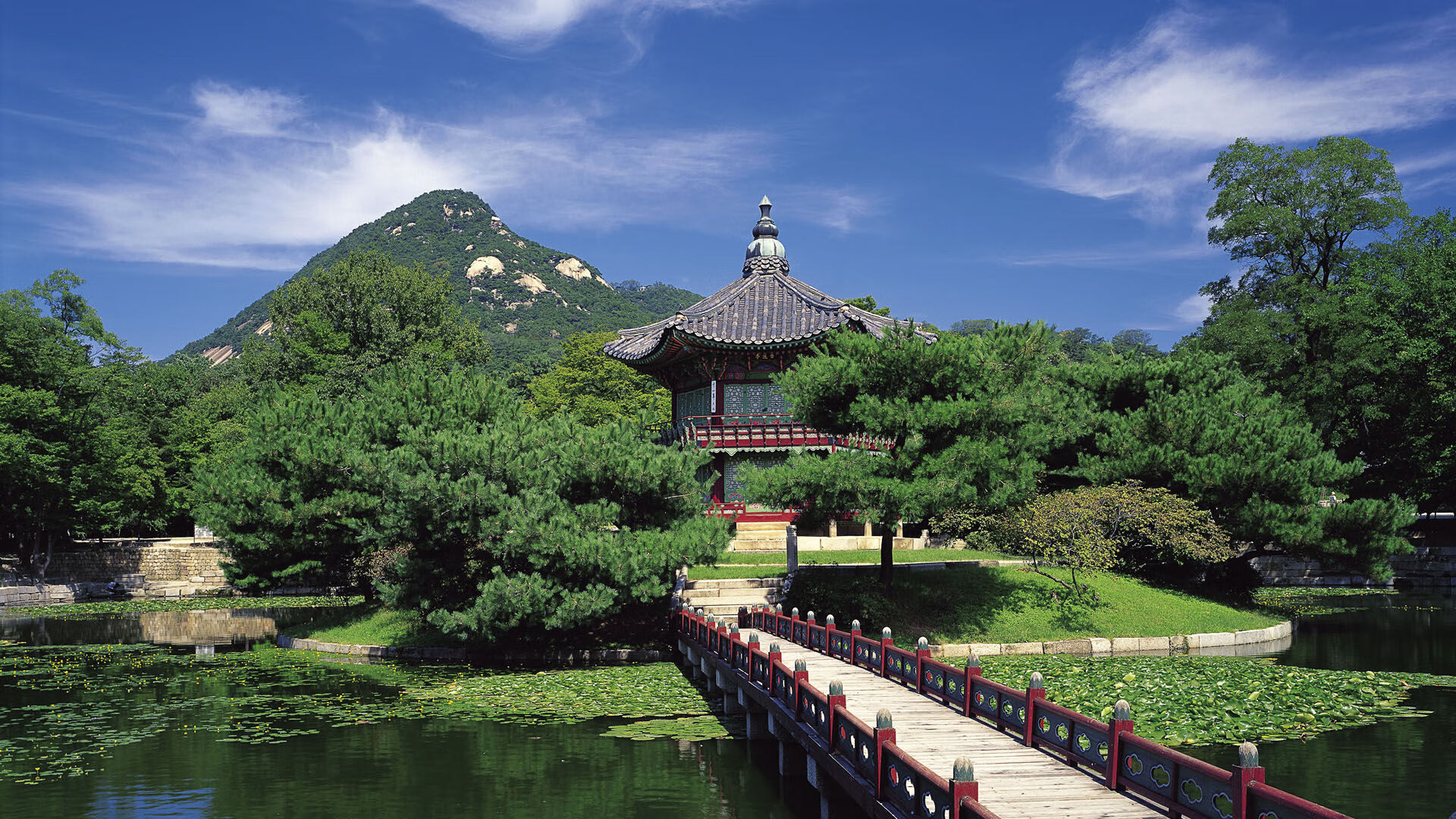 日本队新星表现抢眼,获得主帅赞赏,日本队新星表现抢眼,获得主帅赞赏