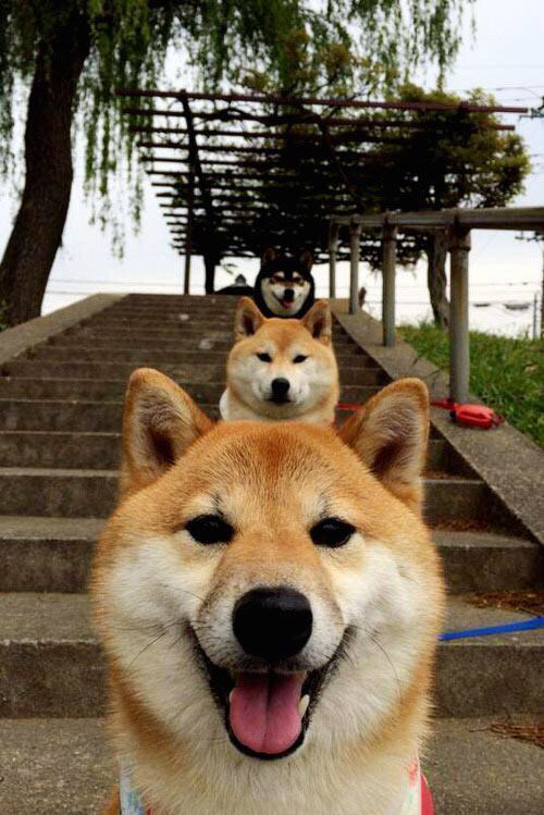 河北精英队赢得胜利,提高了排名,河北精英队赢得胜利,提高了排名怎么办