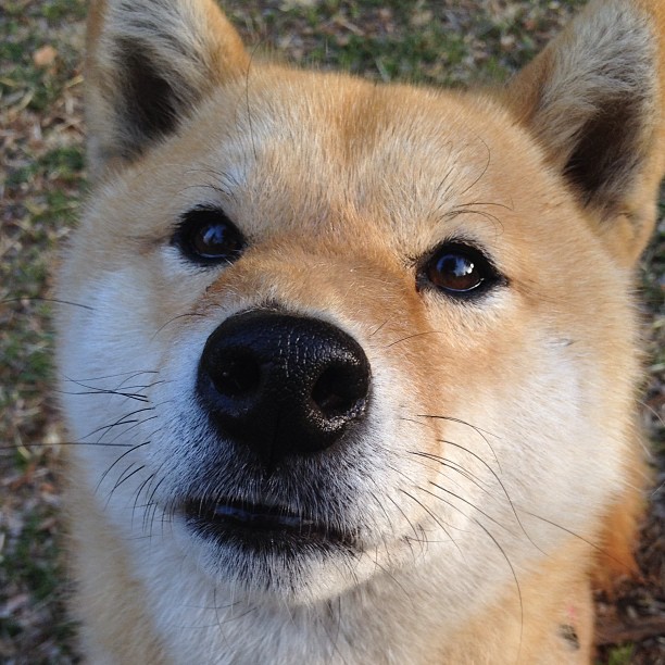 九游下载安装-精彩赛事！两支顶尖球队将在球场上较量，顶级球场