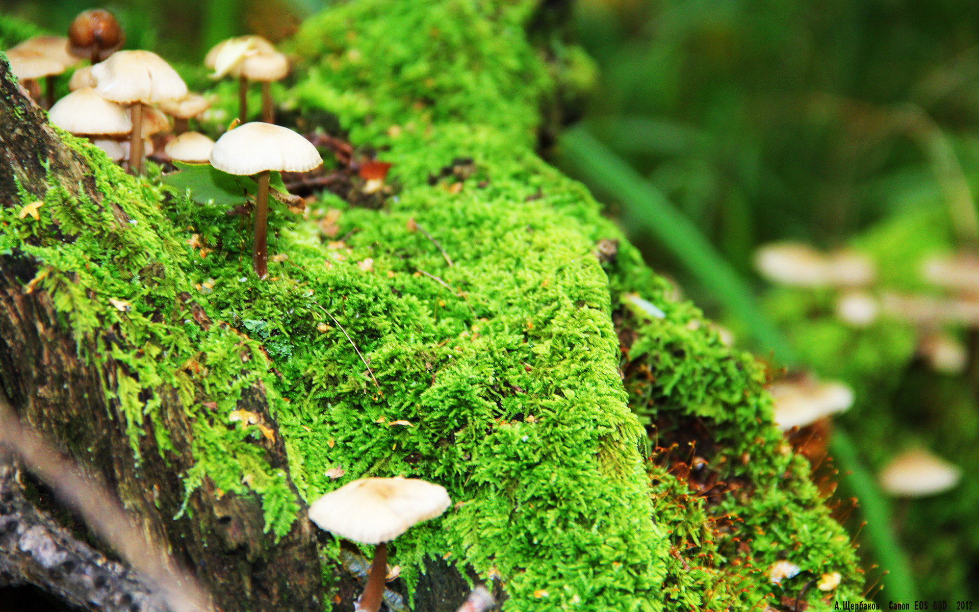 青少年体育运动安全教育体系建设，2020年青少年体育工作要点