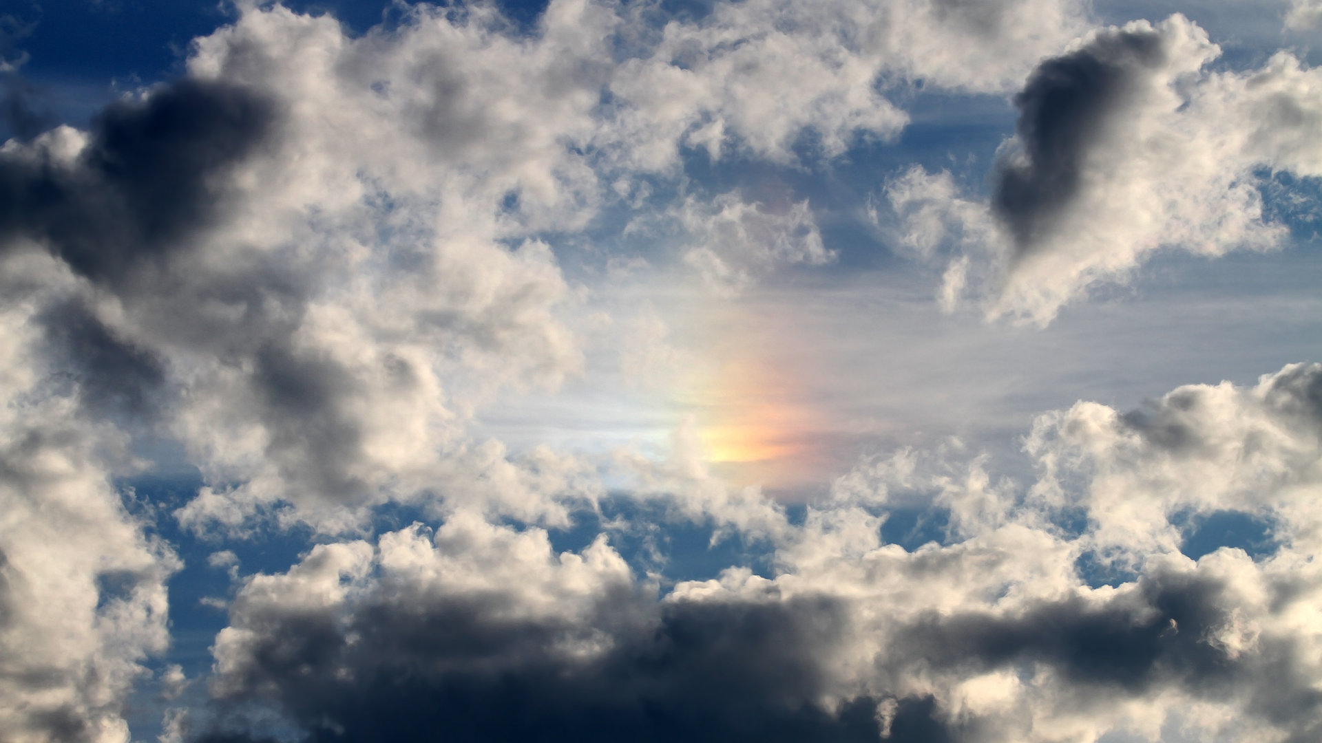 “SHO-CHAN Run 2025:全球跑者来香港一较高下”