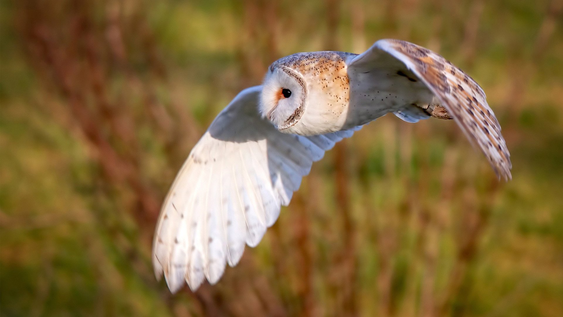 JiuyouAPP下载-体育新闻中心完善体育栏目专业化制作流程，体育类新闻节目都有哪些