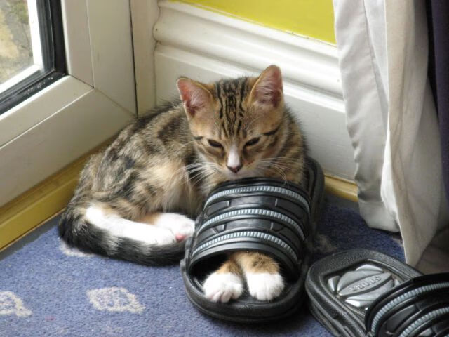 九游-青少年乒乓球集训营模拟比赛提升心理素质，青少年乒乓球训练营