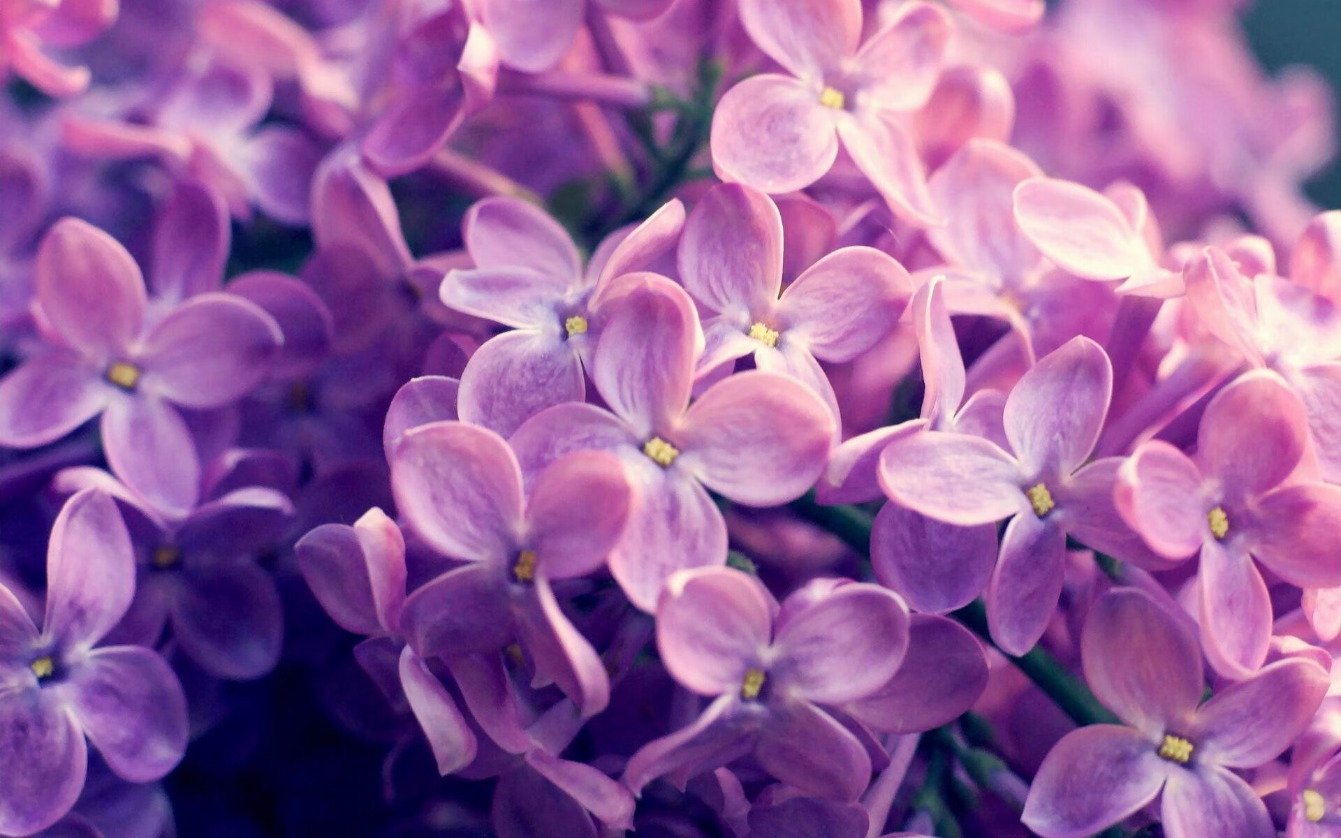 女篮国家队设立专项技术培训课程促进技能提升,女篮培训基地