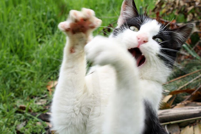 九游网游官网-热火本赛季首次满员训练备战充分，热火新赛季首发阵容