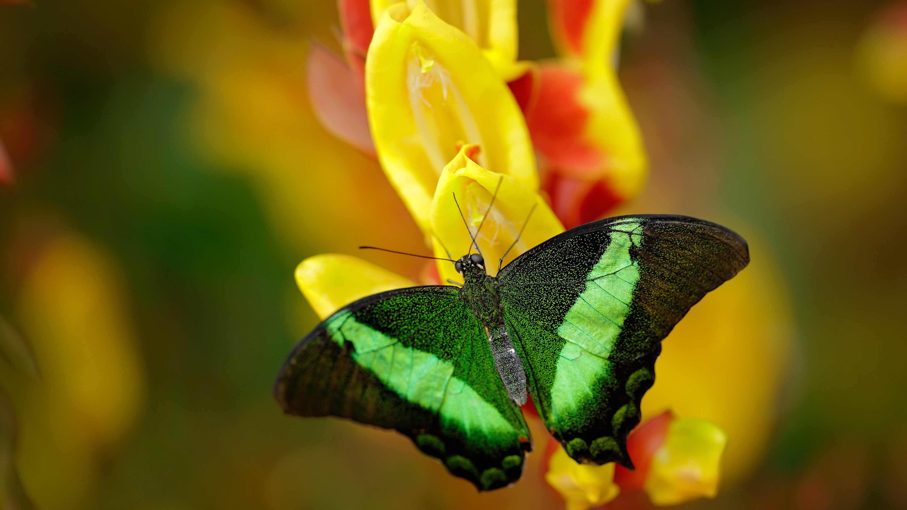 球队青训成果显现,U18梯队表现稳定成长,u18集训名单