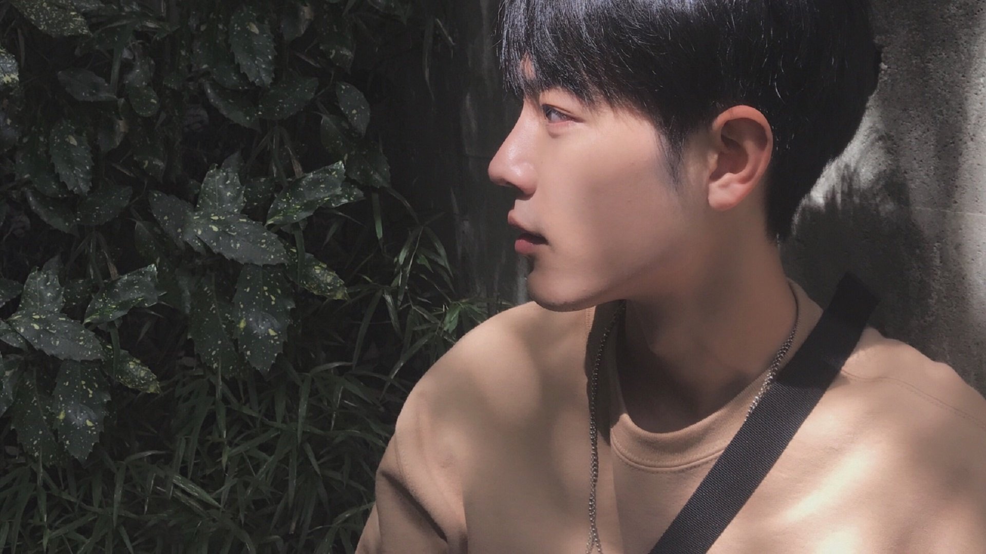 自由泳预赛比利时选手全部晋级,2020自由泳比赛